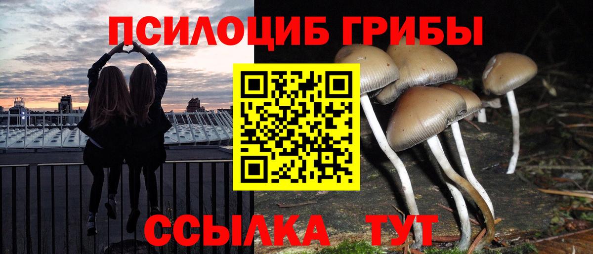 Псилоцибиновые грибы Psilocybe  Вход с VPN  Тосно 