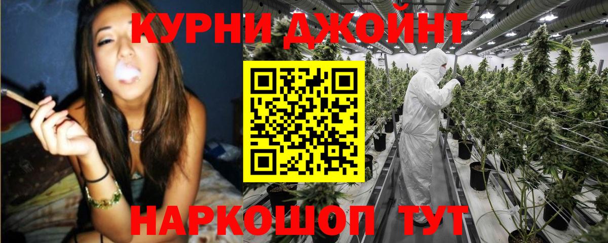 Конопля OG Kush Тосно